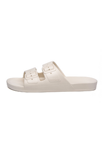 An image of the Freedom Moses Basic Slides