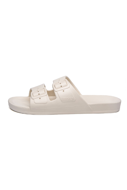 An image of the Freedom Moses Basic Slides