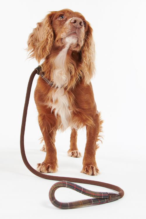 An image of the Barbour Tartan Trimmed Slip Lead
