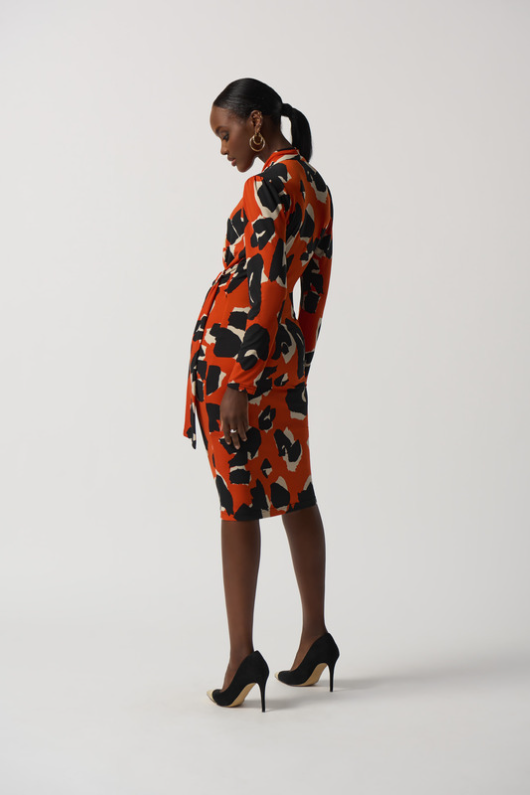 An image of the Joseph Ribkoff Pattern Dress