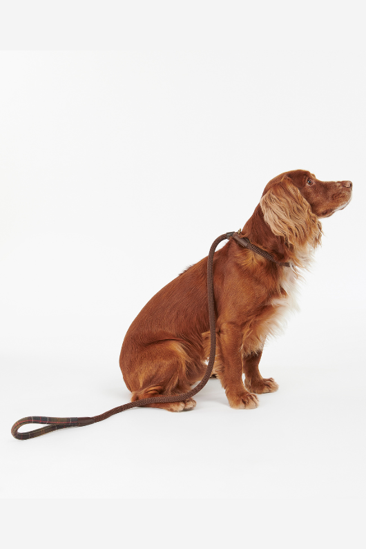 An image of the Barbour Tartan Trimmed Slip Lead