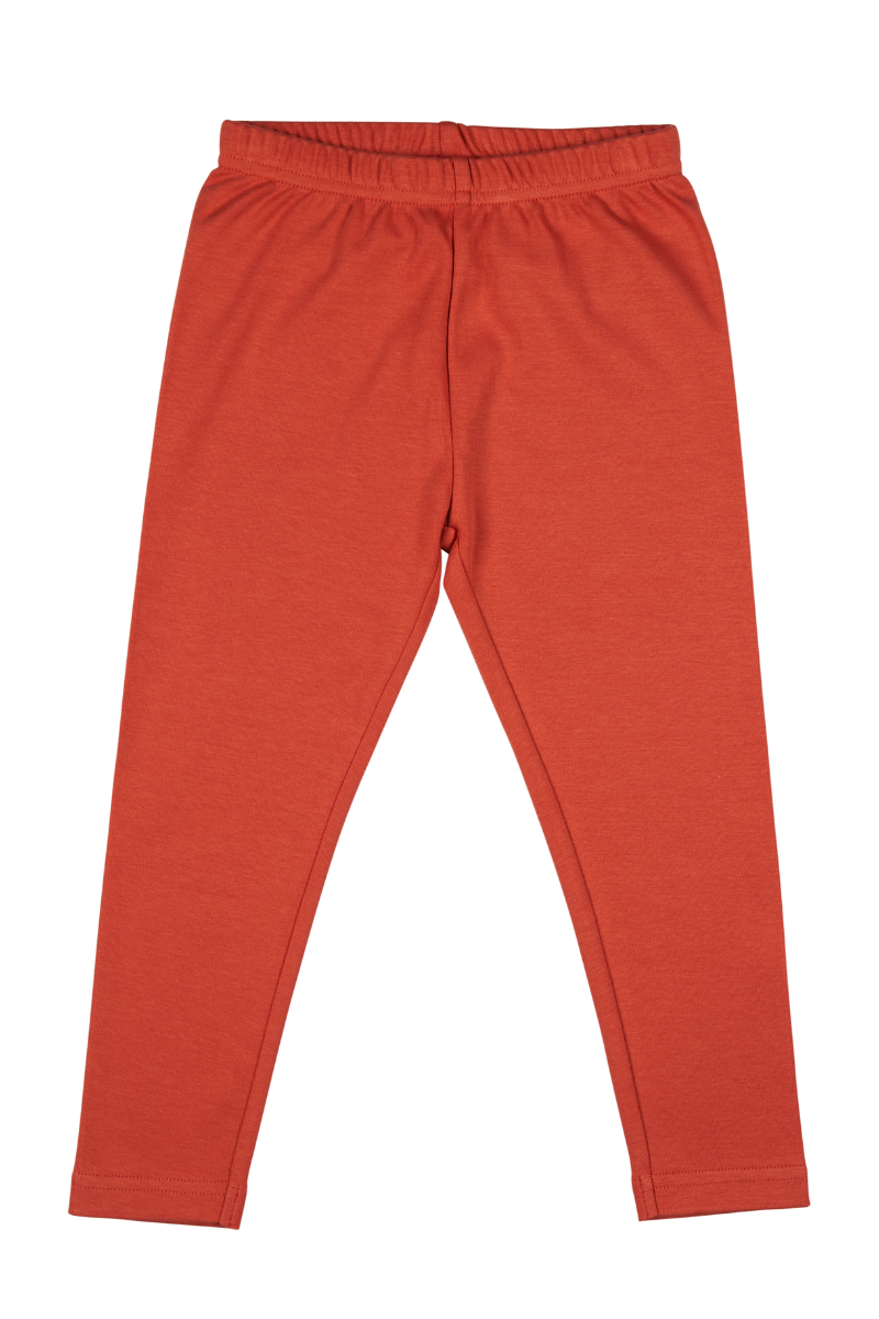 An image of the Pigeon Leggings
