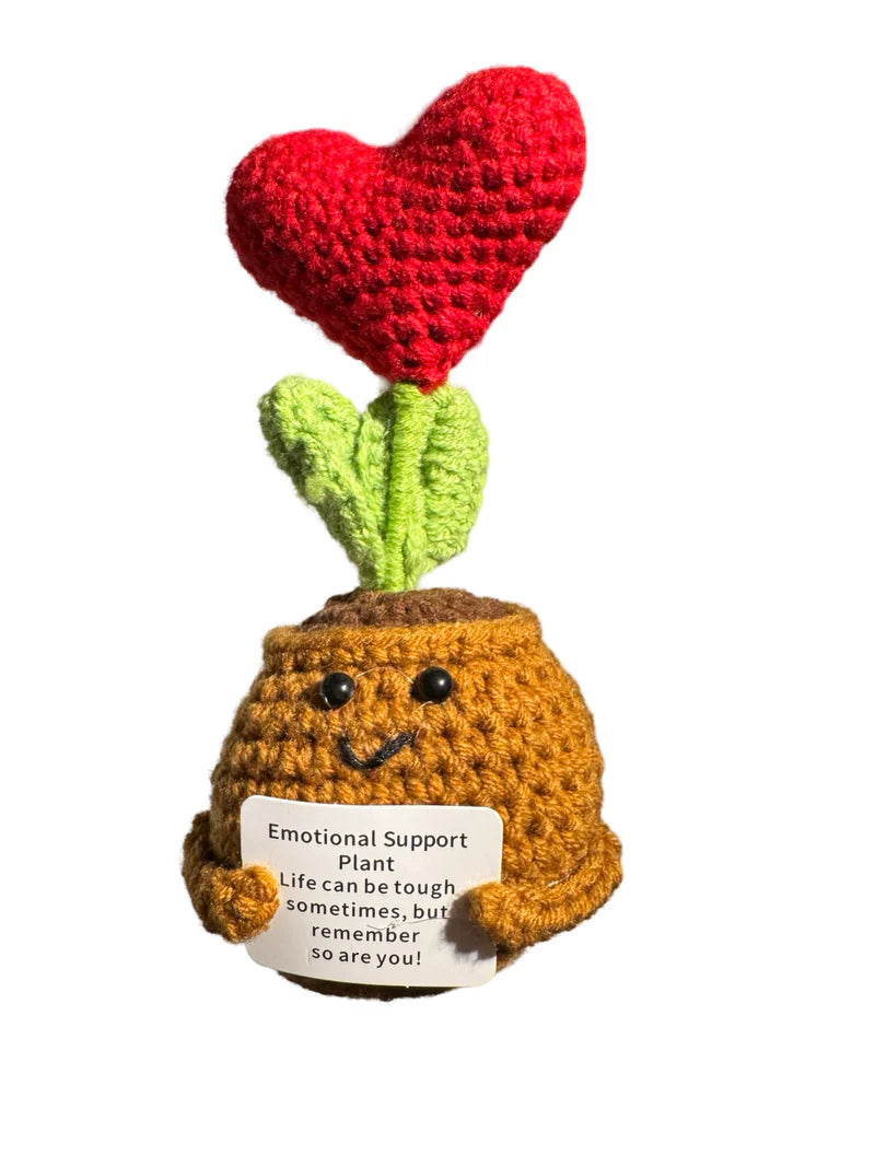 An image of the The Gnome Garden Emotional Support Plant