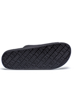 An image of the Freedom Moses Basic Slides