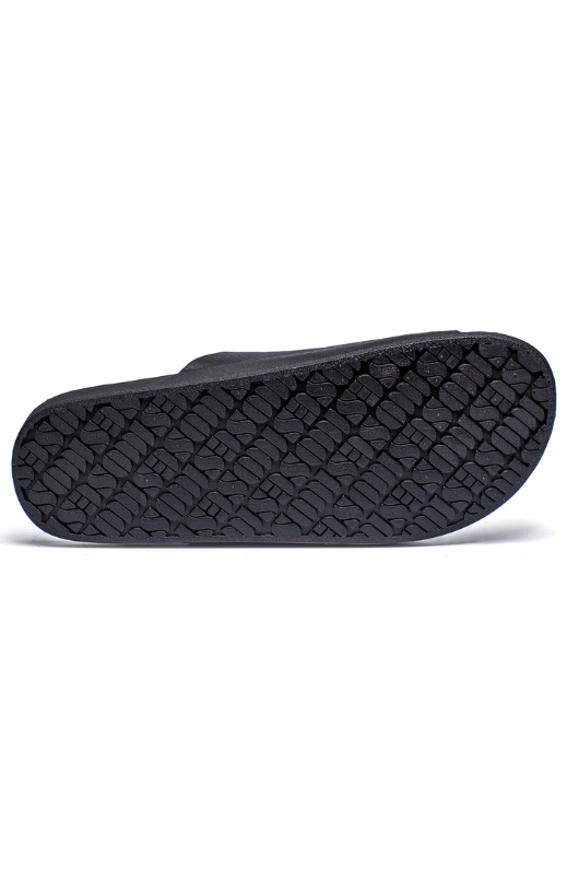 An image of the Freedom Moses Basic Slides