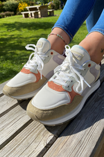 An image of the Hoff Matera City Trainers