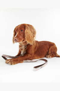 An image of the Barbour Barbour Reflective Tartan Dog Lead