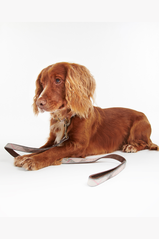 An image of the Barbour Barbour Reflective Tartan Dog Lead