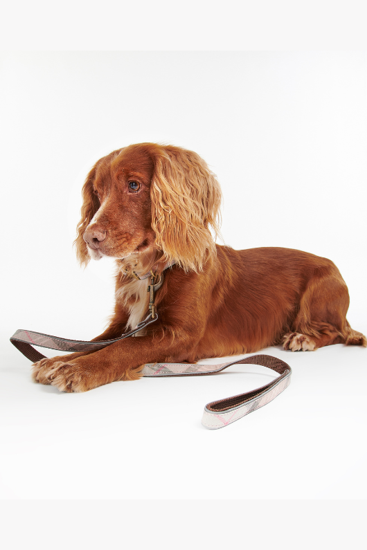 An image of a dog wearing the Barbour Reflective Tartan Dog Lead in the colour Taupe/Pink Tartan.