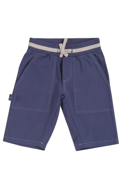 An image of the Pigeon Painter Shorts