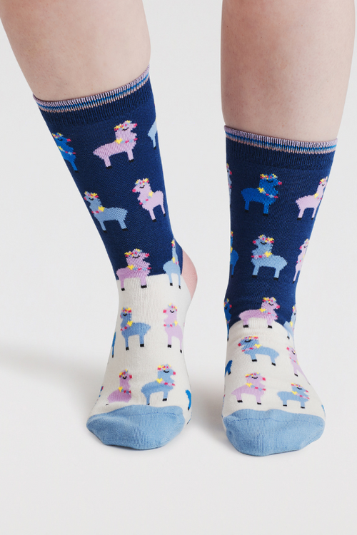 An image of the Thought Clara Rainbow Llama socks in the colour Violet Blue.