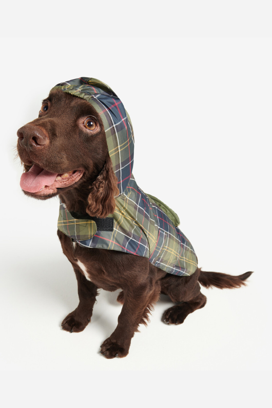 An image of a dog wearing the Barbour Packable Tartan Dog Coat in the colour Classic Tartan.