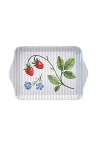 Small Tray