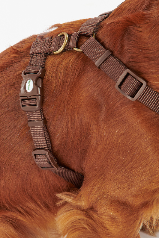 An image of the Barbour Travel And Exercise Harness