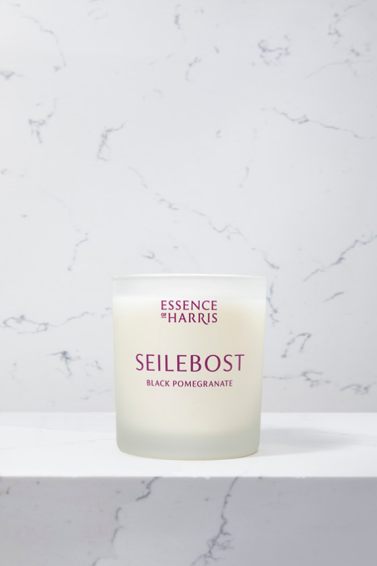 An image of the Essence of Harris Single Wick Candle