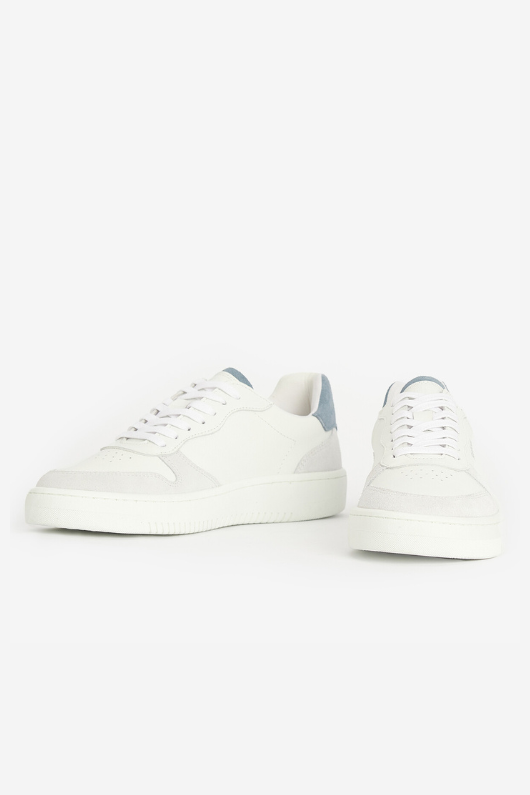 An image of the Barbour Celeste Cupsole Trainer