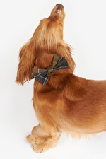 An image of the Barbour Tartan Dog Bow Tie