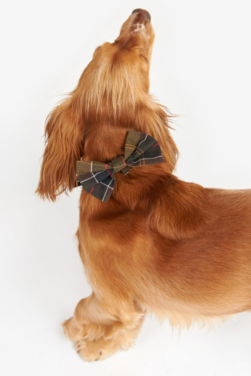 An image of the Barbour Tartan Dog Bow Tie