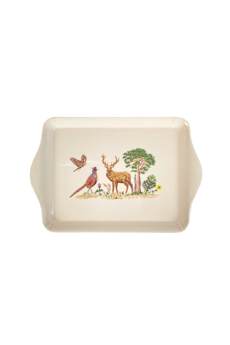 Small Tray