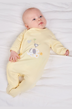 An image of the Dandelion Elephant Cotton Sleepsuit