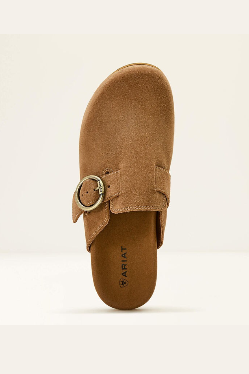 An image of the Ariat Country Mule