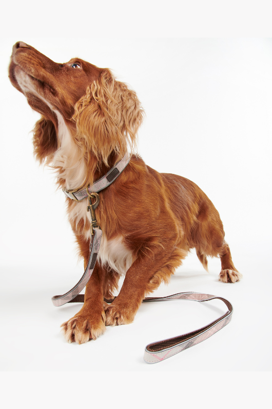 An image of the Barbour Barbour Reflective Tartan Dog Lead