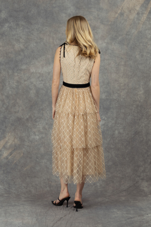 An image of the Fee G Tiered Mesh Dress