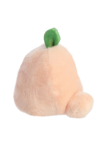 An image of the Aurora Palm Pals