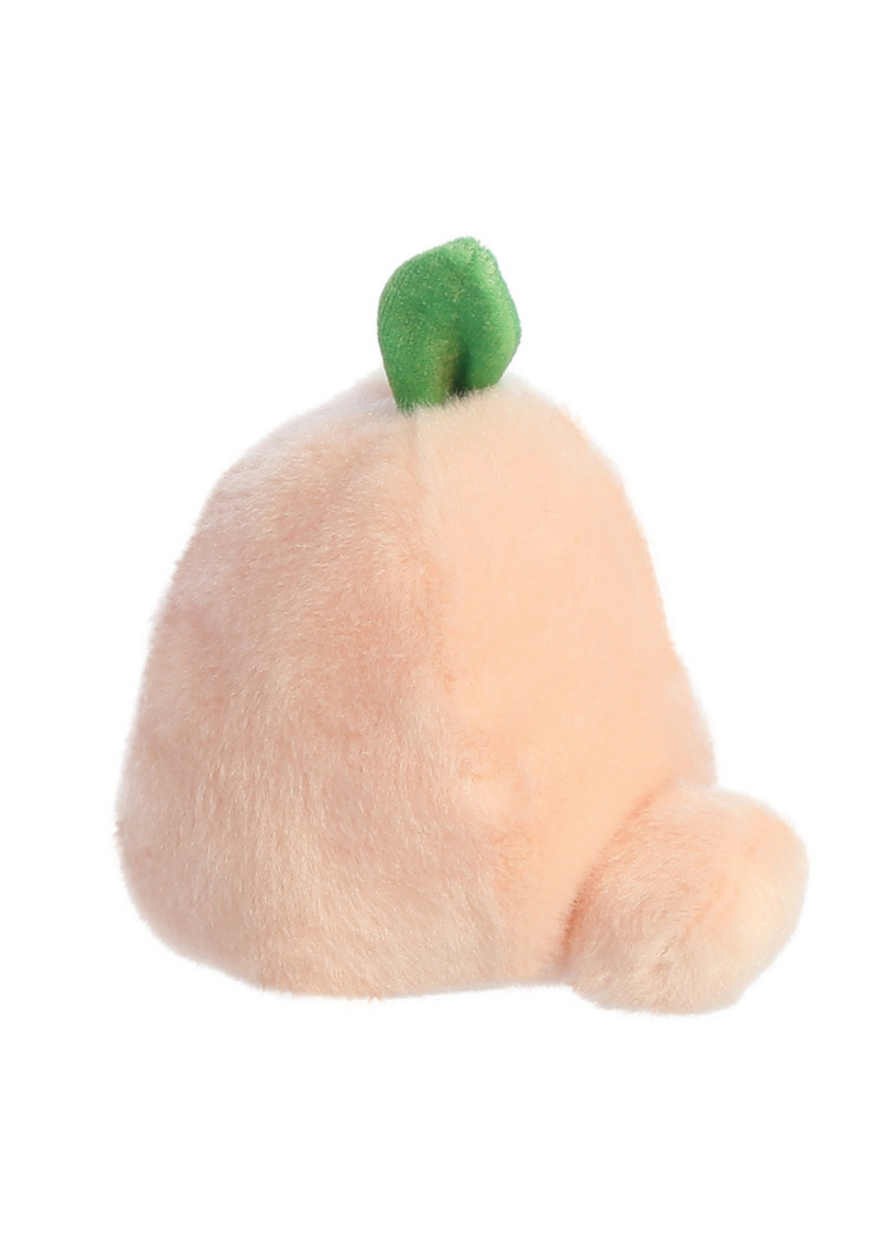 An image of the Aurora Palm Pals