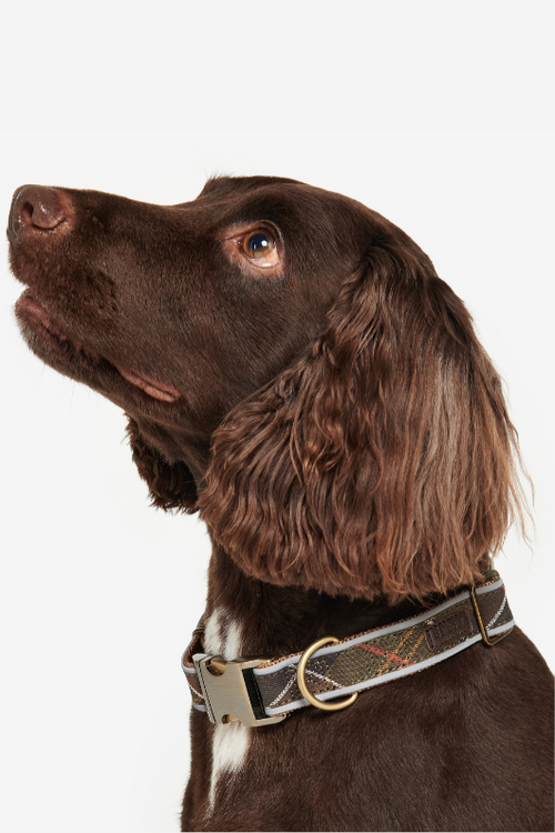 An image of the Barbour Reflective Tartan Dog Collar
