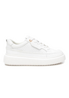 An image of the Carmela Trainers