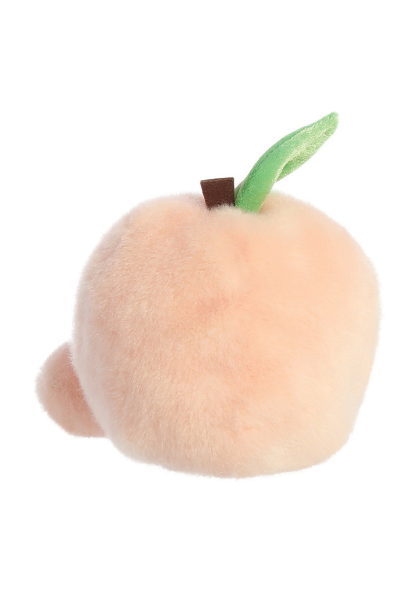 An image of the Aurora Palm Pals