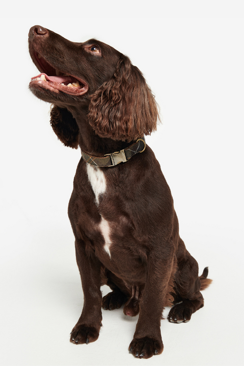 An image of the Barbour Reflective Tartan Dog Collar