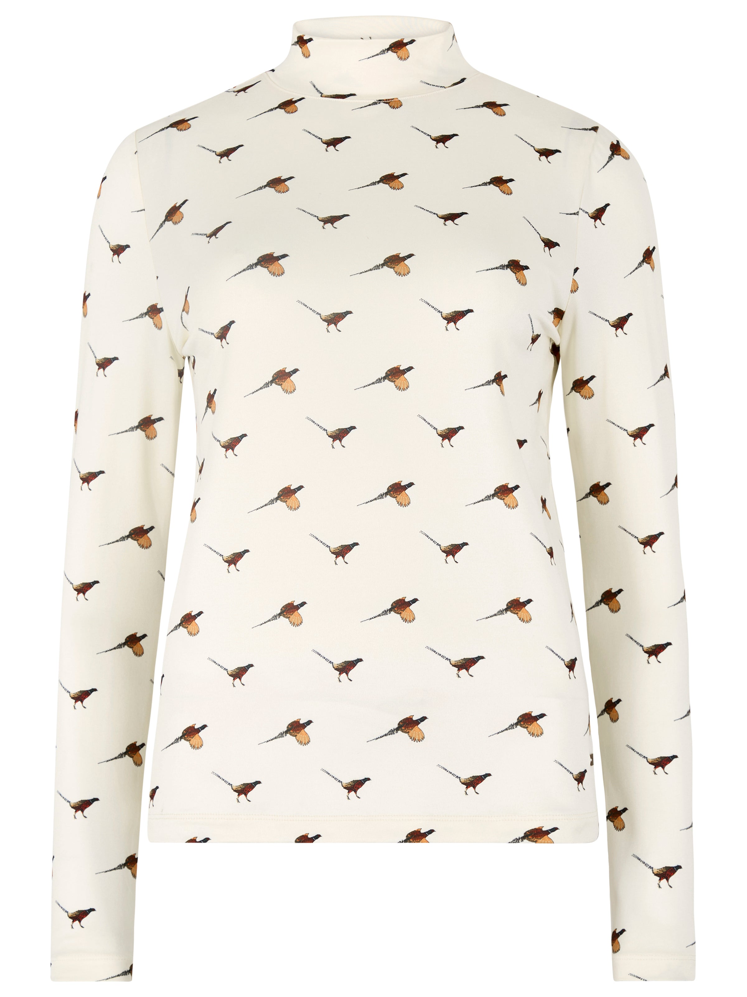 An image of the Dubarry Reynolds Mock Neck Top