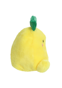 An image of the Aurora Palm Pals