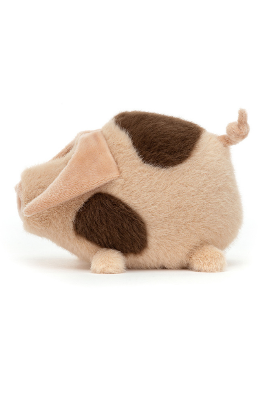 Bashful Bunny