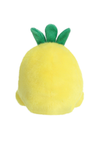 An image of the Aurora Palm Pals