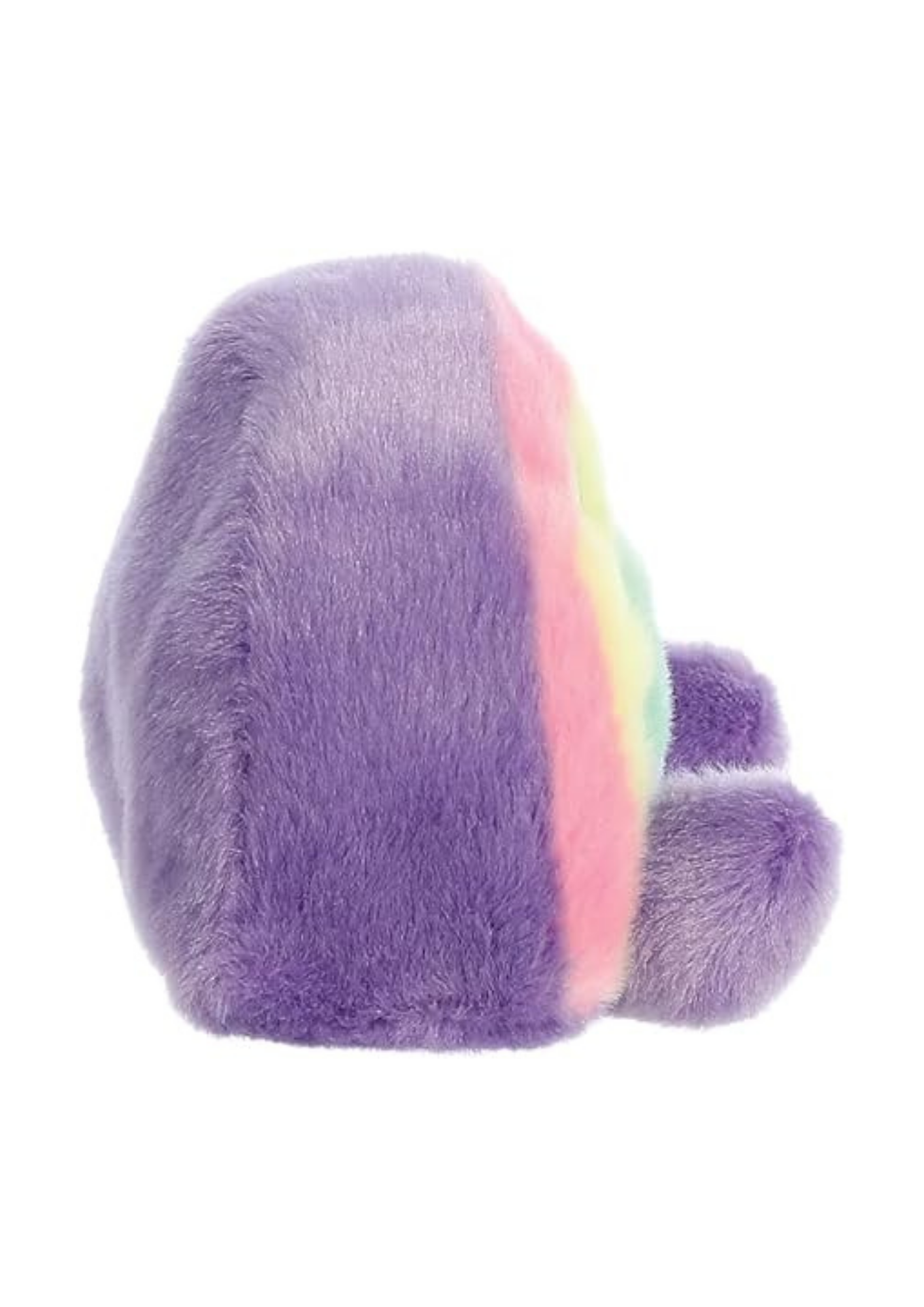 An image of the Aurora Palm Pals