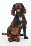 An image of the Barbour Reindeer Dog Toy