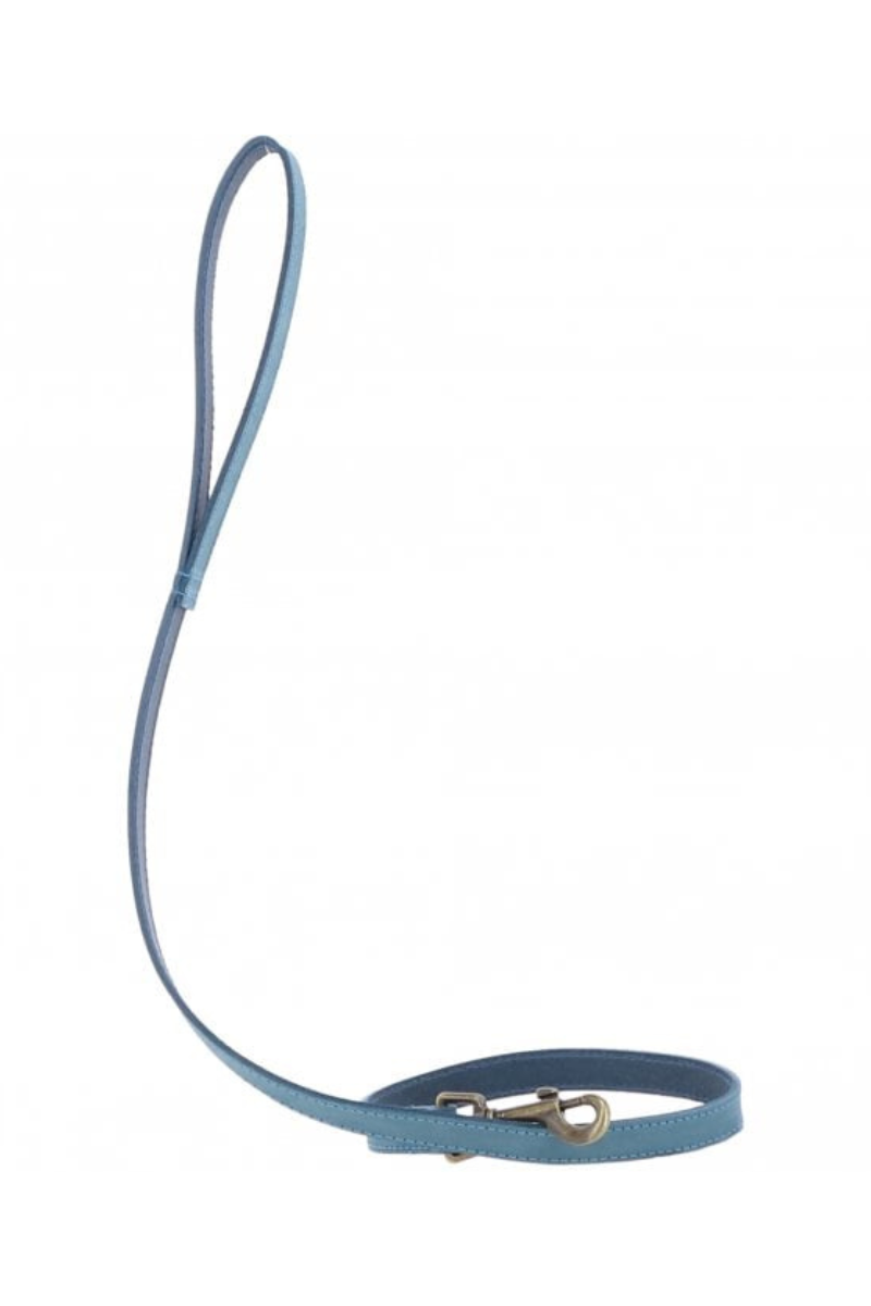 Leather Pet Lead
