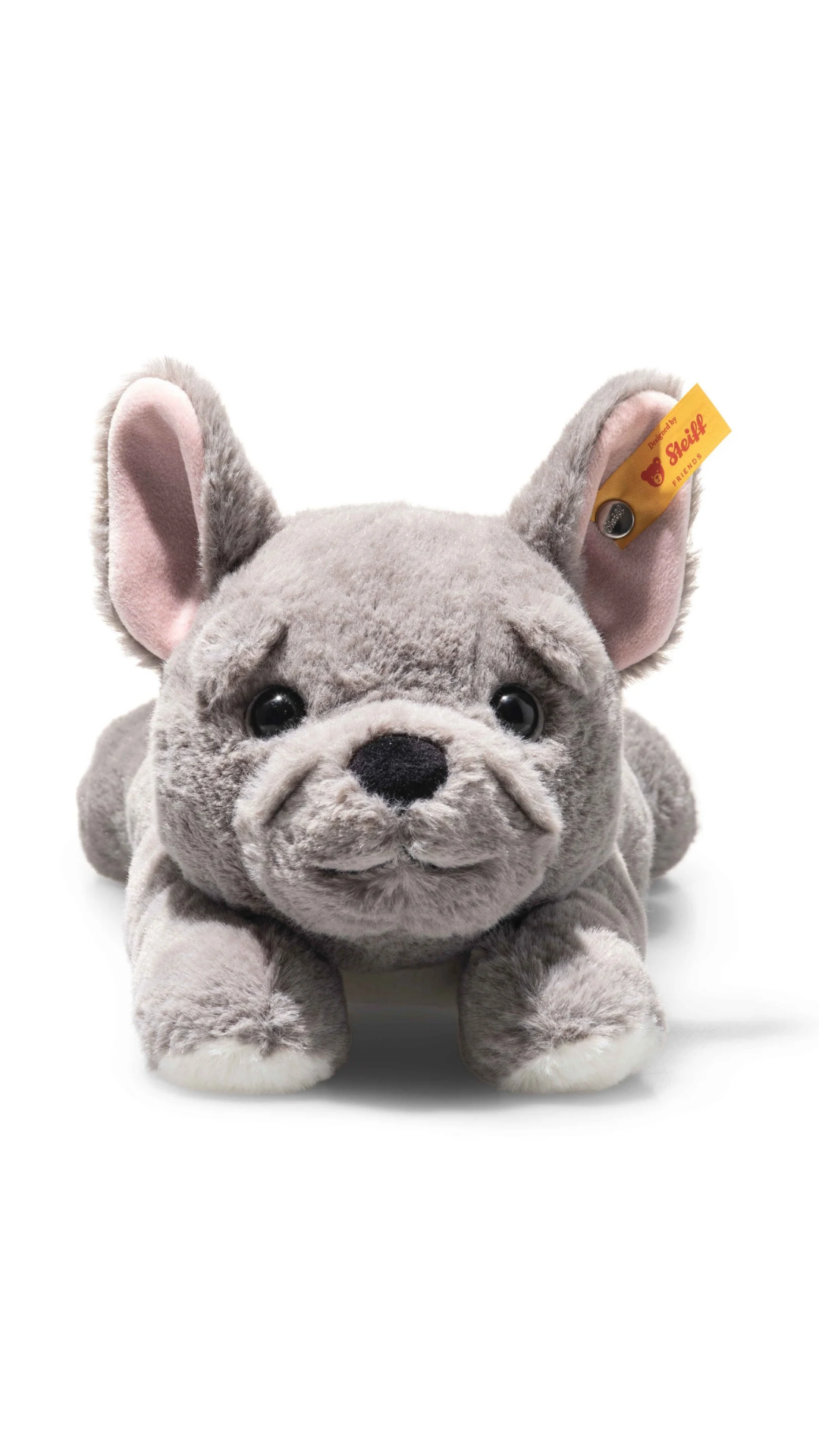 Brie French Bulldog