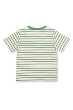 Kite T-Shirt. A kids T-shirt made from organic cotton. This tee features a cute stripy dinosaur print and has short sleeves and a round neck.