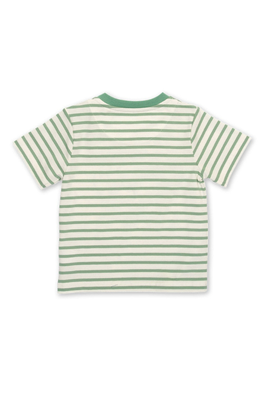 Kite T-Shirt. A kids T-shirt made from organic cotton. This tee features a cute stripy dinosaur print and has short sleeves and a round neck.