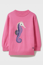 An image of the Crew Clothing Seahorse Jumper