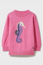 An image of the Crew Clothing Seahorse Jumper in the colour Pink.