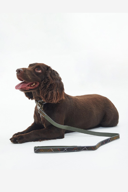 An image of the Barbour Reflective Tartan Comfort Dog Lead