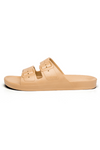 An image of the Freedom Moses Basic Slides