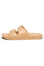 An image of the Freedom Moses Basic Slides