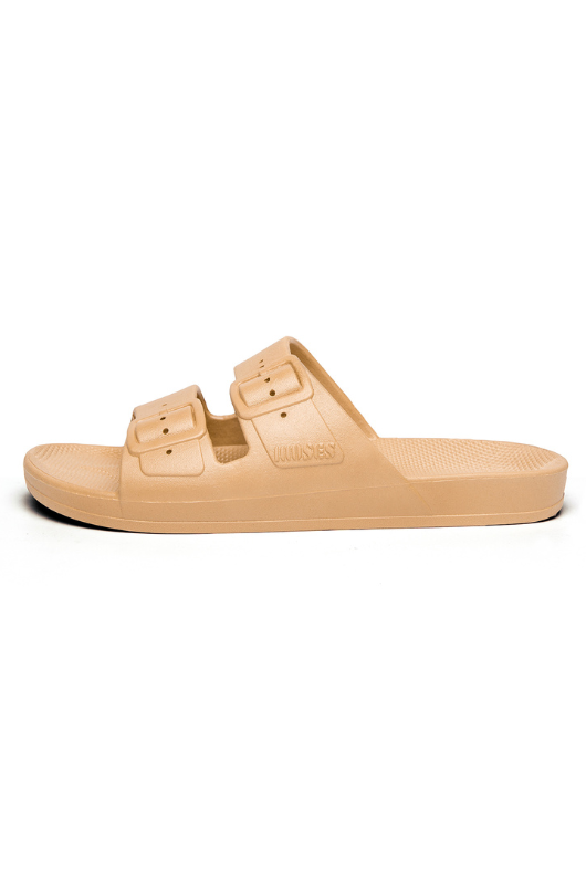 An image of the Freedom Moses Basic Slides