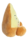 An image of the Aurora Palm Pals